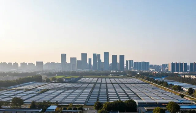 红木家具采购难题,线上交流平台如何助力解决